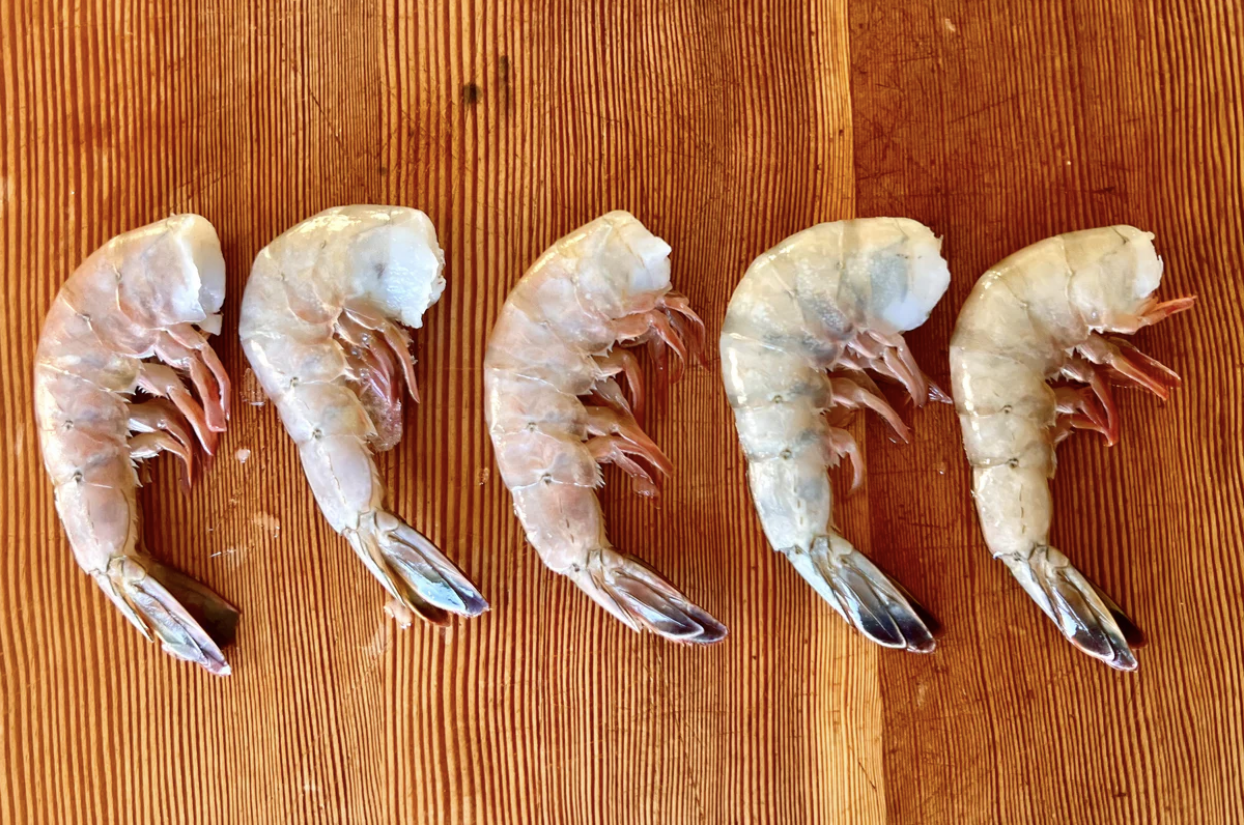 Shrimp u12 JUMBO (Gulf Shrimp, Wild Caught) | Dobbs Ferry Lobster Guys