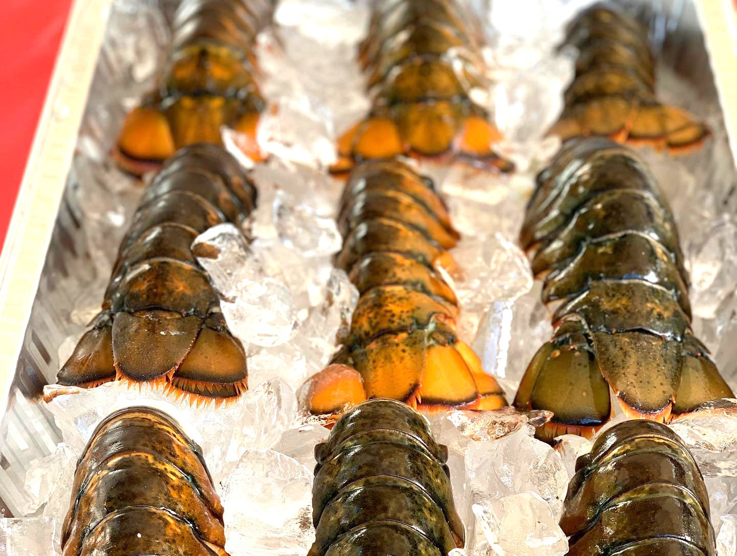 Lobster Tails NYE '23 Menu Dobbs Ferry Lobster Guys